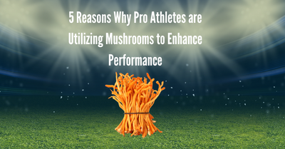 5 Reasons Why Pro Athletes are Utilizing Mushrooms to Enhance Physical Performance